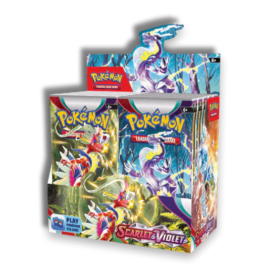 Caja de 36 Sobres de Escarlata y Purpura - Inglés 🇬🇧